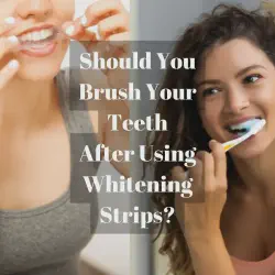 /img/29111-healthy-teeth-and-gums.webp