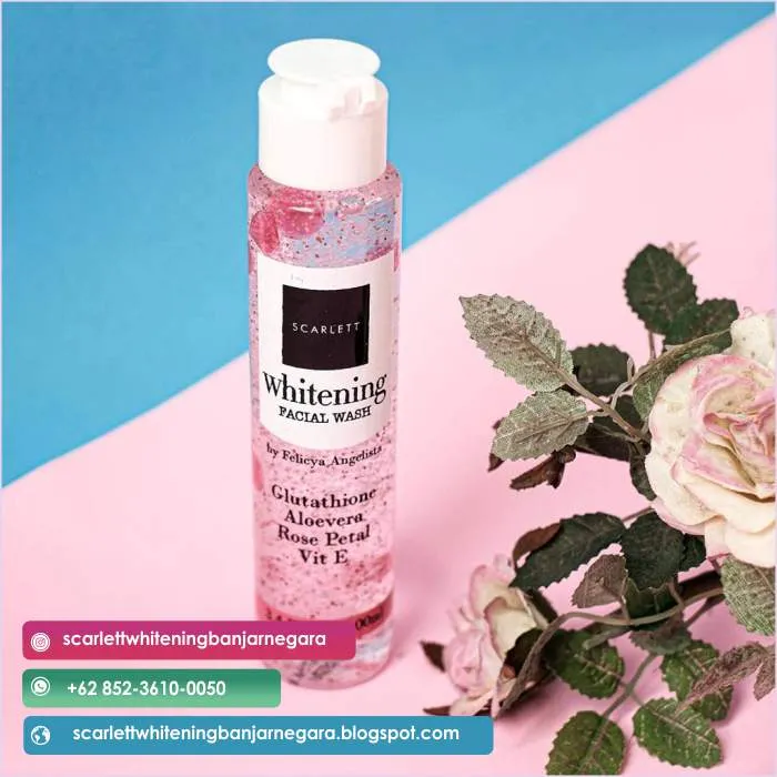 29121 facial whitening moisturize