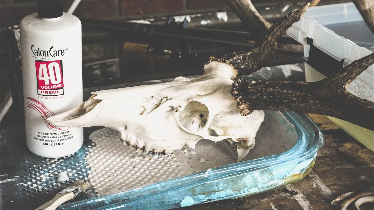 /img/29185-protecting-the-skull.webp