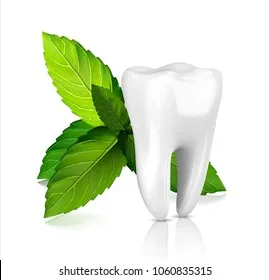 29264 healthy teeth and gums