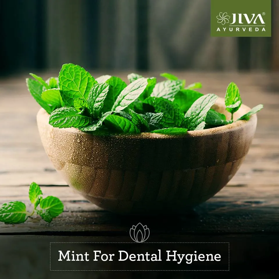 29264 mint leaves paste