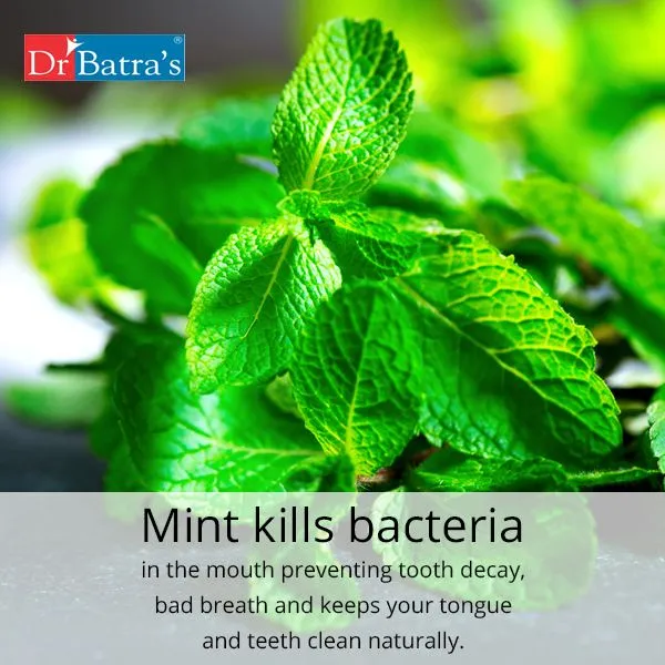 /img/29264-mint-leaves-smile.webp