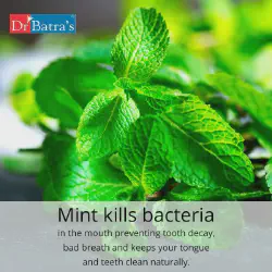 /img/29264-mint-leaves-smile.webp