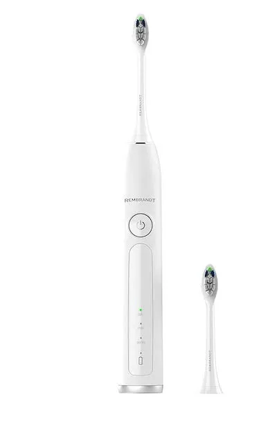 29301 rembrandt sonic toothbrush user friendly