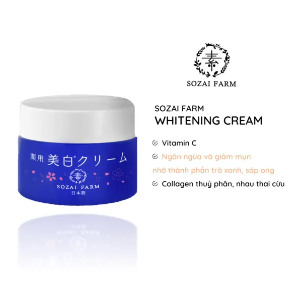 29341 saori whitening cream dermatologist
